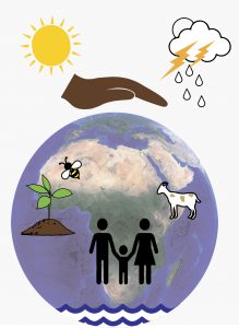 one health infographics