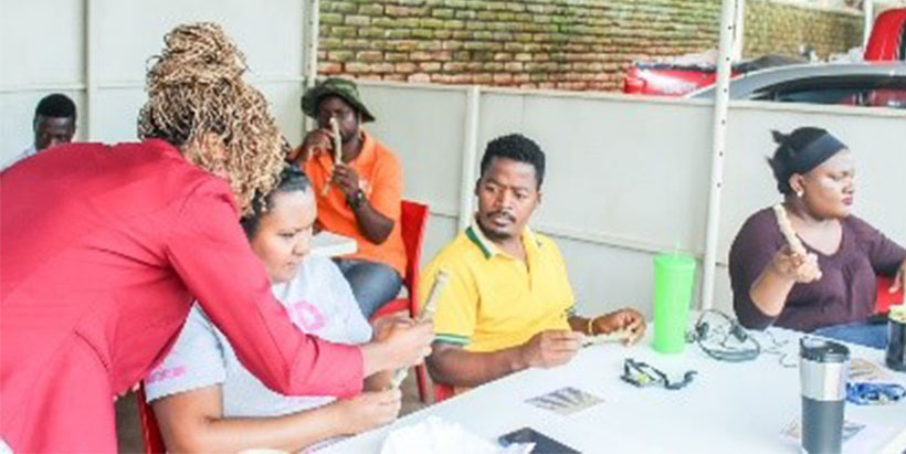 One of the facilitators showing traits of a cassava stem-cutting to a participant.