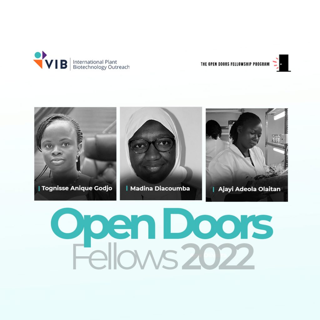 Open Doors Fellows 2022