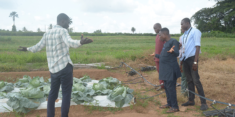 Outgrower and Vegetable Trial Manager, Azeez Ejitola, taking the team through the process of vegetable production.