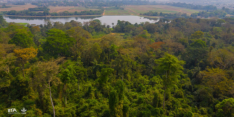 Overview of IITA Forest cover and lake.