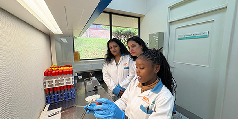 Pairwise scientists and donor representative in the IITA Gene Editing Lab (with Jeneffer) and Greenhouse (with Dr Jaindra Tripathi).