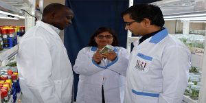 The research team, L-R: Valentine Otang Ntui, Leena Tripathi, and Jaindra Nath Tripathi