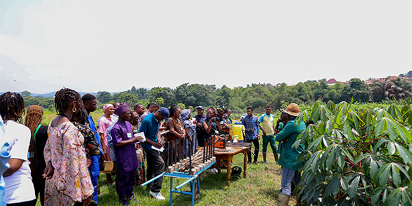 Hands-on training on weed control and fertilizer use led by experts Toye Ayankanmi, Oke Esezobor, and Abolore Bello.