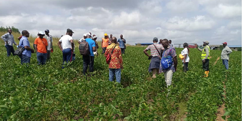  Participants appreciating the performance of the soybean variety in one of the fields at the N-SAT site.