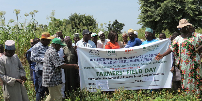 Participants at the AVISA Farmers’ Field Day.