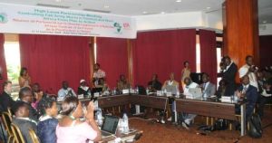 Picture of participants at the high-level partnership meeting on FAW management in Cameroon