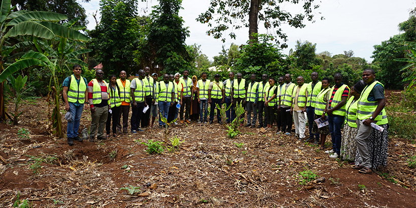 Participants during a field trip and a hands-on practical on eradicating BBTV. Photo: Robert Minja