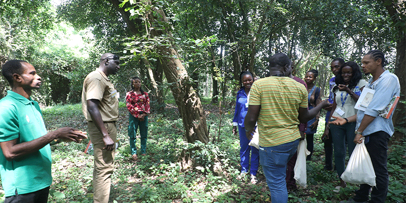 Participants from Crescendo Africa collecting seeds from the wild with Olukunle Olasupo, Field Supervisor, IITA Forest Center.