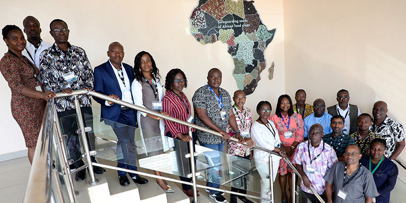  Participants of the Inaugural Yam Breeding Network meeting.