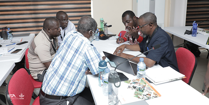 The cowpea breeders group discussing ways to improve cowpea breeding using gender-responsive approach