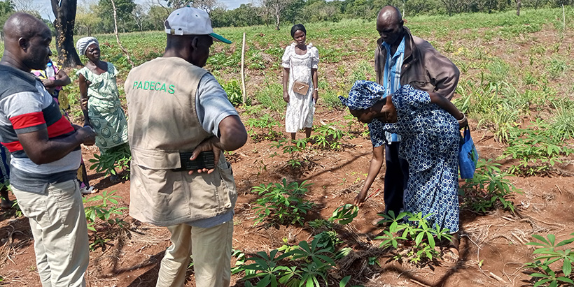 Participants of the workshop during field pratice in Boali.
