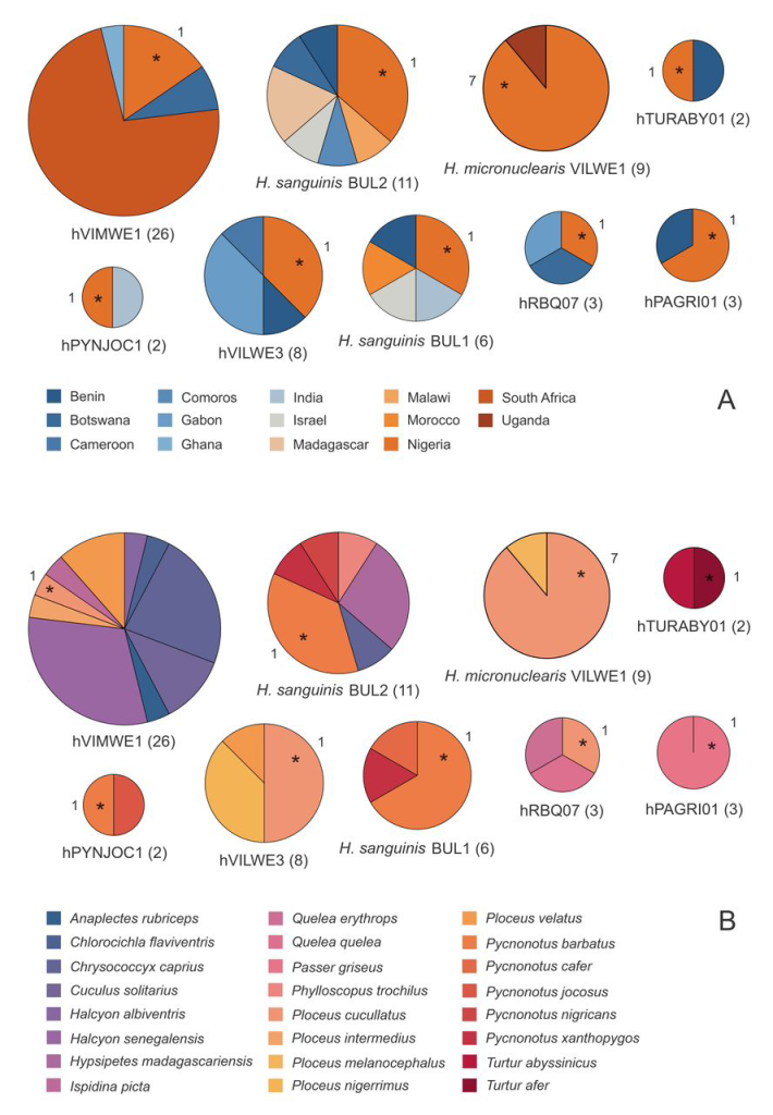 Pie charts showing the geographic (A) and avian host (B) distribution of Haemoproteus lineages found in birds sampled in the study. The asterisks show the birds examined in the study. The number of infected birds from the study is displayed near each pie chart.