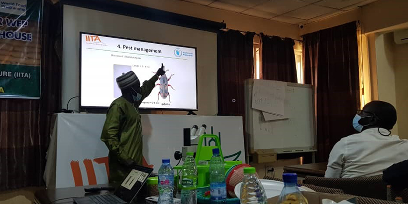 IITA Host Plant Resistance Entomologist Dr Abou Togola highlighting pest management best practices.