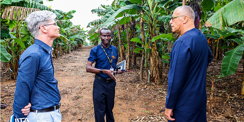 Postdoctoral Plantain and Banana Breeder Moses Nyine explaining the breeding process of producing plantain hybrids.