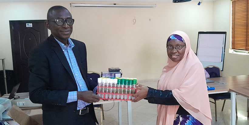 Prof Mofufat Balogun received untested seed yam from Dr David Apriah-Kubi from CSIR-CRI