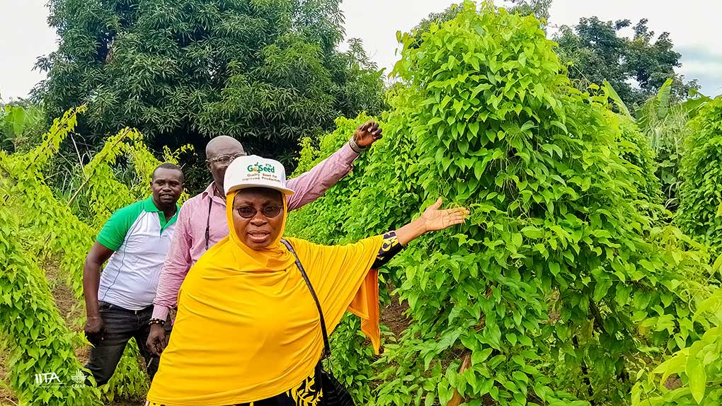 Prof Morufat Balogun during the field day in Ilushi.