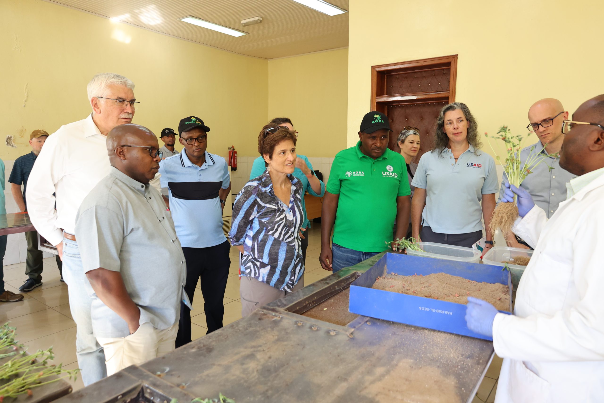 At the RAB-RICA seed testing laboratory: (left to right) Dr Telesphore Ndabamenye, Director General of RAB; Dr Rob Bertram, Chief Scientist