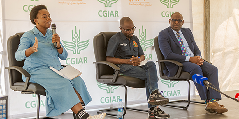 Representatives from the National Food and Nutrition Council, University of Zambia, and Zambia Agriculture Research Institute (ZARI) engage in a panel discussion exploring the future of nutrition