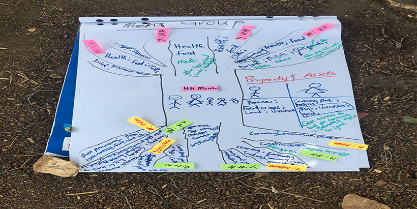 Gender and youth balance tree, NorthernGhana. Photo: Africa RISING-SAIRLA/IITA
