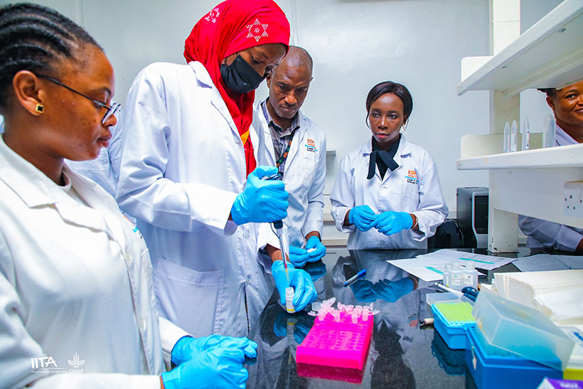Participants during a hands-on session in the laboratory.
