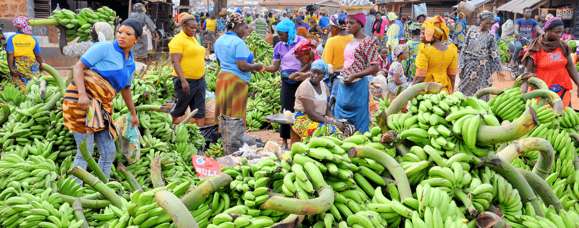 The rural woman – a powerful force that can drive global progress