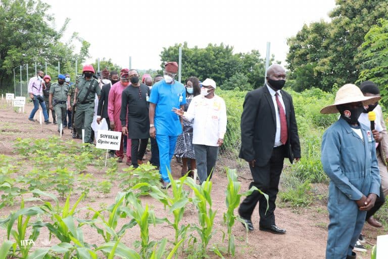 IITA DG Nteranya Sanginga showing Governor Makinde some of the crop farms.