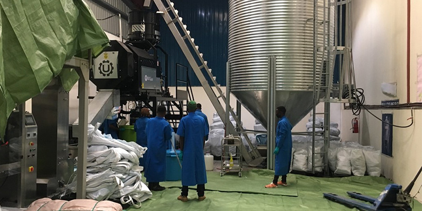 Scaling production of the Aflasafe innovation is improving food safety across Africa.