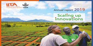 IITA works across sub-Saharan Africa in ensuring the delivery of research innovations.