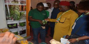 An IITA staff showcasing the Institute’s products and research materials at the IITA stand.