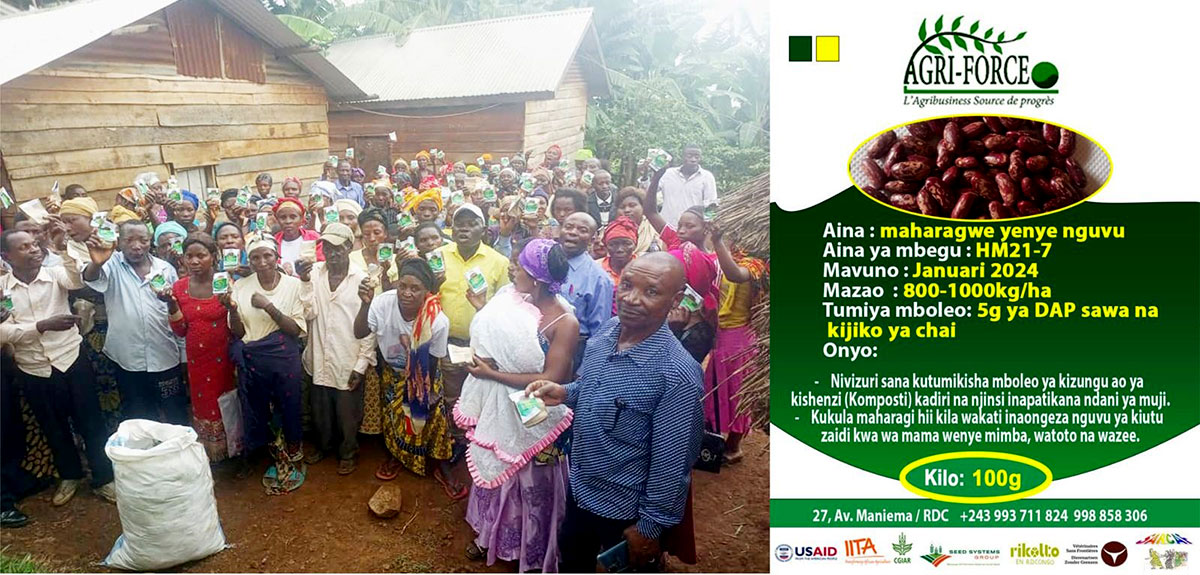 Small packs distributed to farmers in DR Congo branded with information detailing the characteristics of the seeds. 