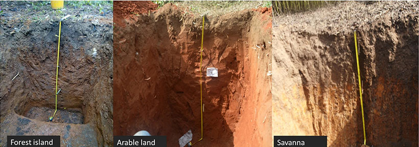 Soil profile photos of the ecosystem types at Elewure community (ELE), Nigeria.