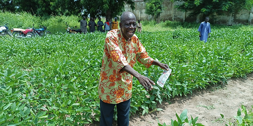 Soyabean lead farmer in Guyuk LGA of Adamawa State Mr Kadawasor explaining the effect of Nodumas and SSP fertilizer on the growth of soyabean.
