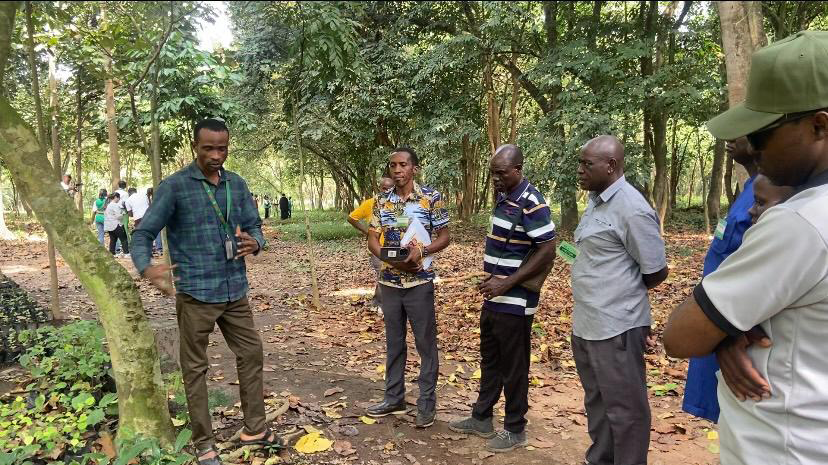 IITA Forest Center Patron, Dr David Ladipo, with IITA Forest Center Field Supervisors telling the story of the Tree Heritage Park.