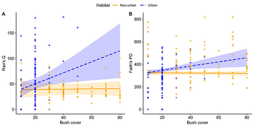 The effect of bush cover by habitat (urban vs non-urban) on functional diversity (Rao’s Q) during the dry season, and (B) the effect ofcanopy cover by habitat (urban vs non-urban) on phylogenetic diversity (Faith’s PD) during the dry season. 