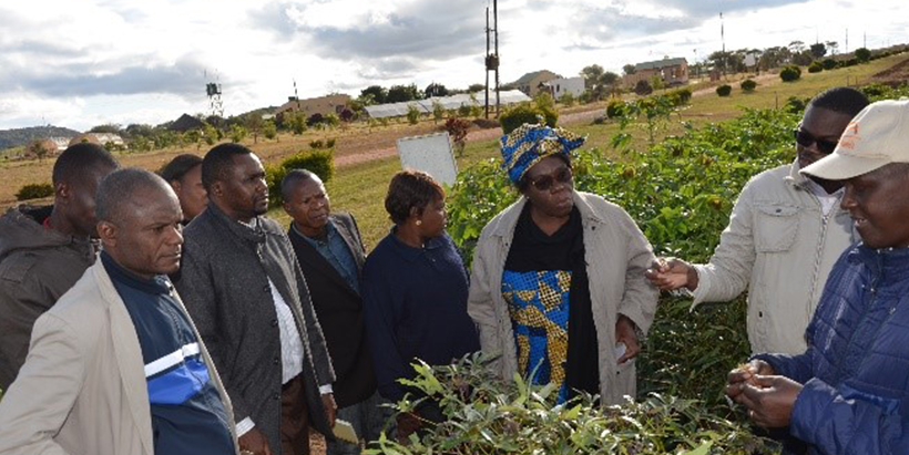 Taining participants, during a field visit in Zambia.