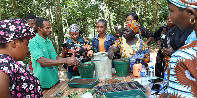 Taiwo Bankole, IITA Forest Center Field Staff, tutoring the participants on the field.