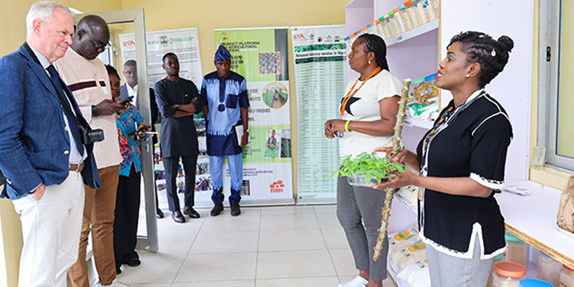 The Ambassador and his team at the Cassava Breeding Unit.