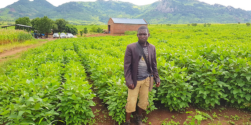 Lourindo Jacinto Abel, the DG farm manager at the soybean farm.