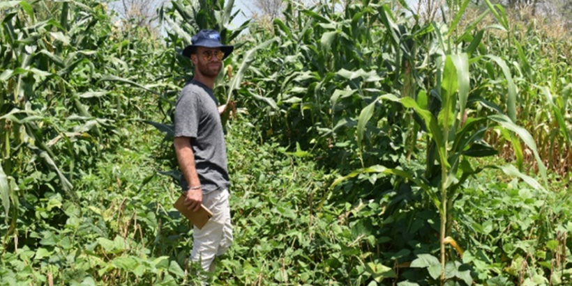 The EU DeSIRA Program Manager in Malawi, Marco Vacirca, on one of the on-farm trials in Salima at Levson Chulu’s farm.