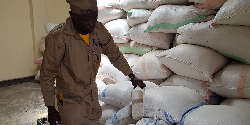 The High Quality Cassava Peel (HQCP) mash is a research innovation with increasing adoption in Rwanda.