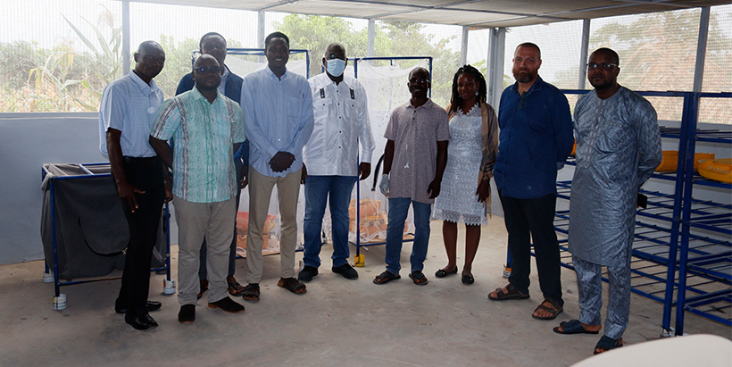 The NORAD team and IITA-Ghana staff during the visit.