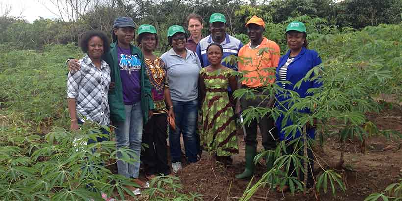 The Nigerian Tricot research team in a Tricot trial farm for cassava