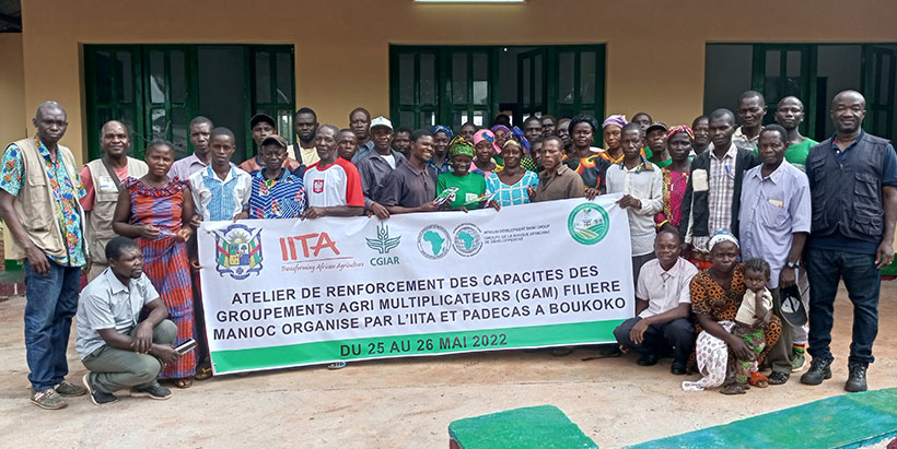The PADECAS team with cassava seed multipliers in Boukoko, CAR.