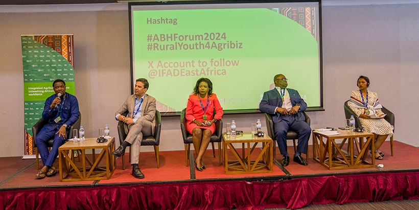 The Project Coordinator for Agrihub Nigeria, ‘Tomiwa Adesanya participating in a panel discussion on the successes and innovations in promoting entrepreneurship among rural youth.