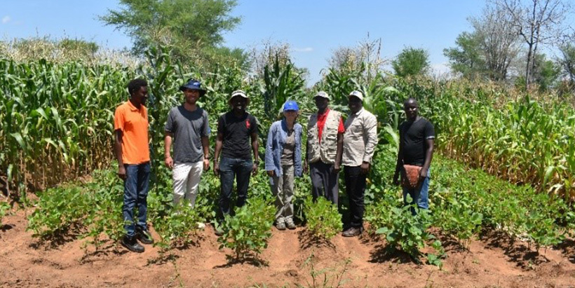 The farmer, Levson Chulu (in a red t-shirt and brown jacket), the EU delegation, and some of the DeSIRA team members.