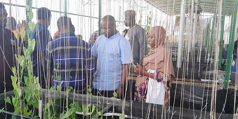 The participants on a tour to yam hydroponics technology.