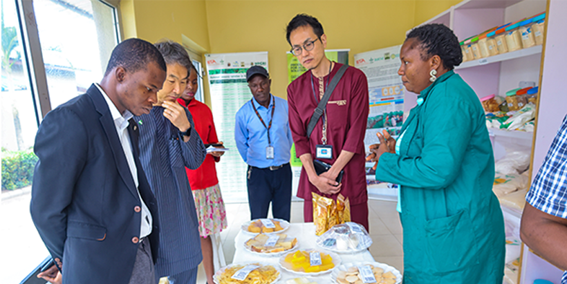 The visiting team on a tour of the IITA Cassava processing center.