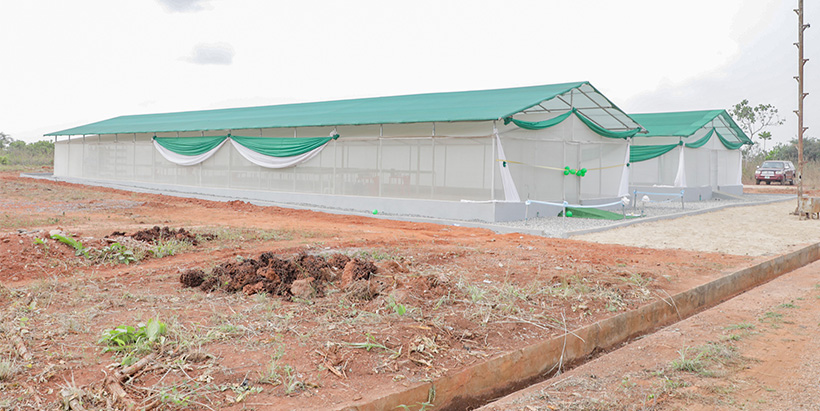 “This screen house will be one of DG Sanginga’s legacies.” – Chief Obasanjo