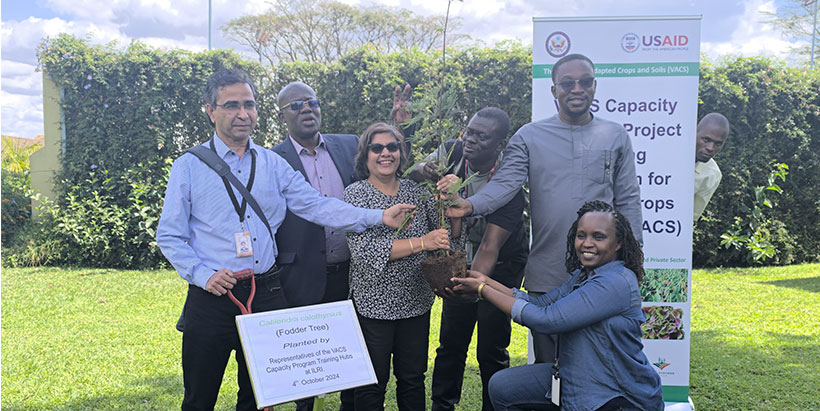 Training hub representatives plant a tree to mark the VACS platform launch.